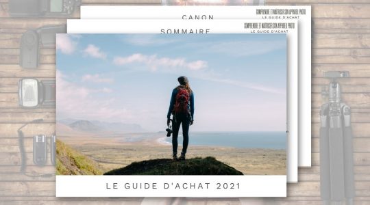 vignette guide achat 2021